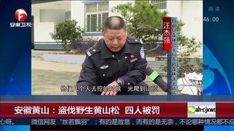 黄山记者爆料新闻视频 第1张 黄山记者爆料新闻视频 第1张